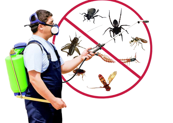 pest control west valley city